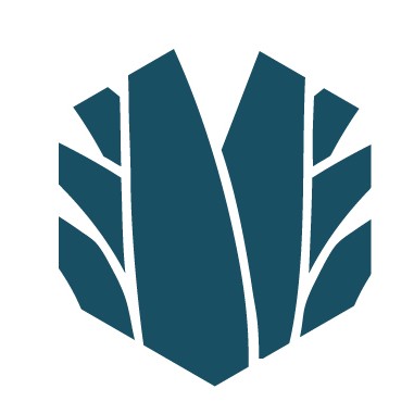 Maguey Diseño